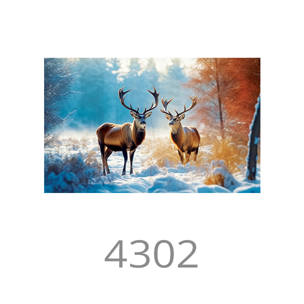 4302