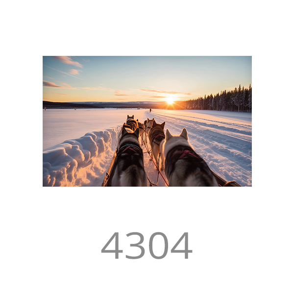 4304
