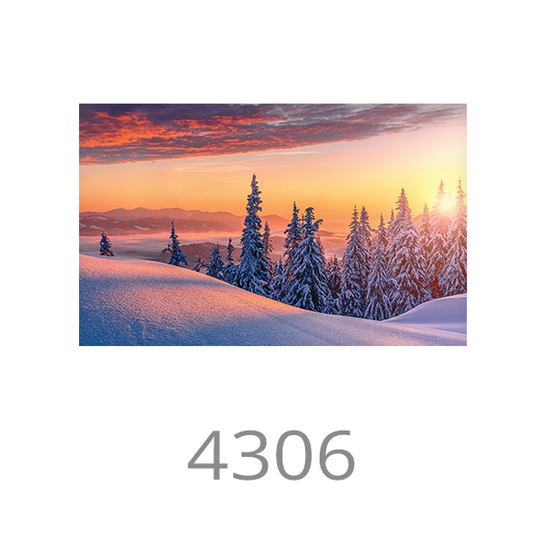 4306
