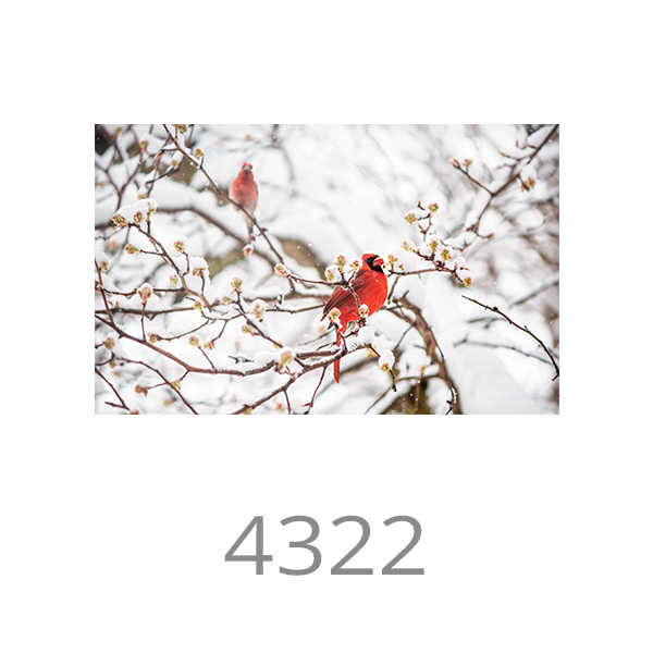 4322