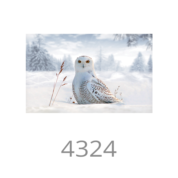 4324