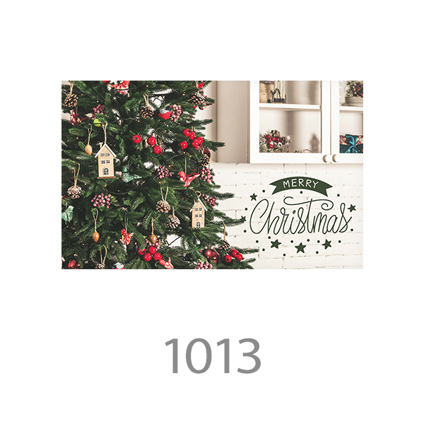 1013