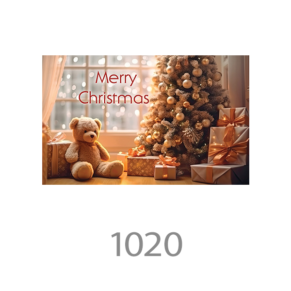 1020