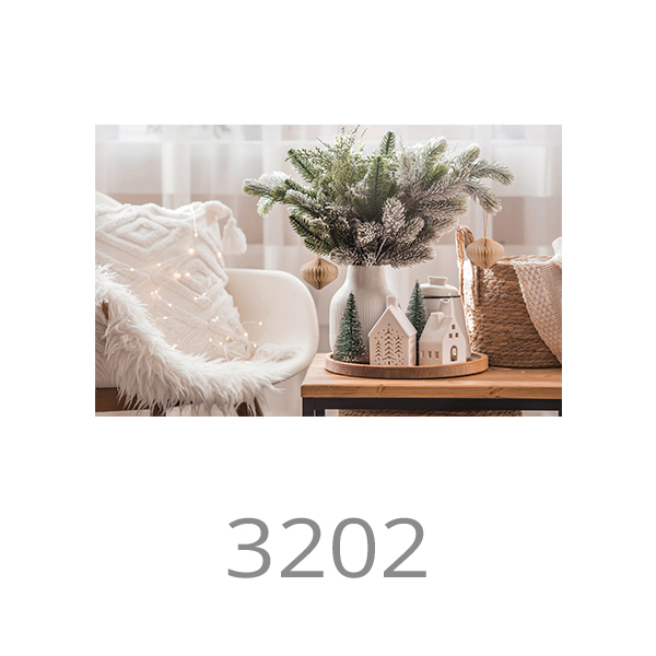 3202