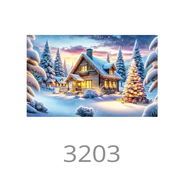 3203