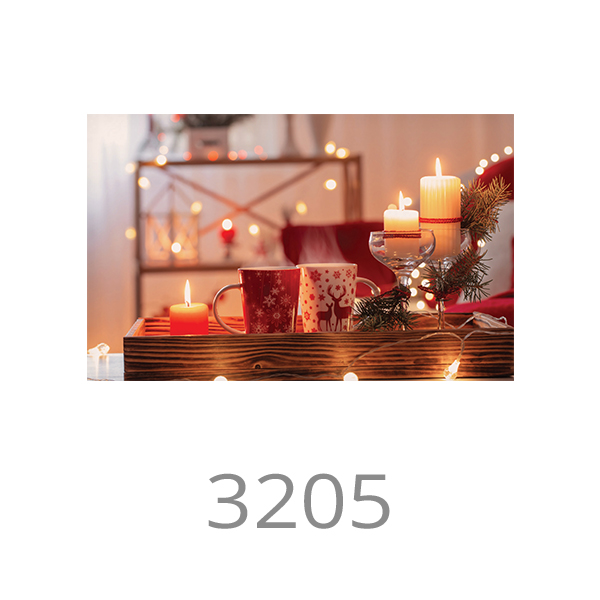 3205