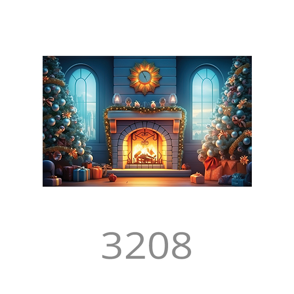 3208