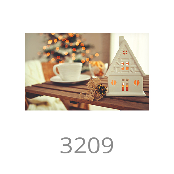 3209