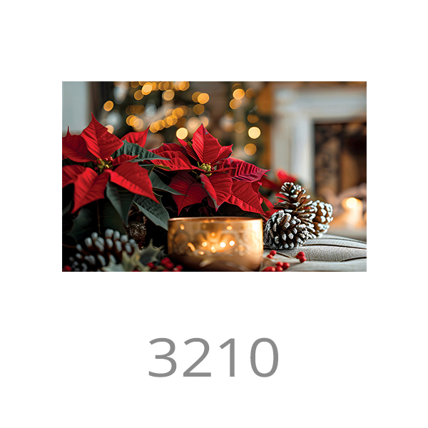 3210