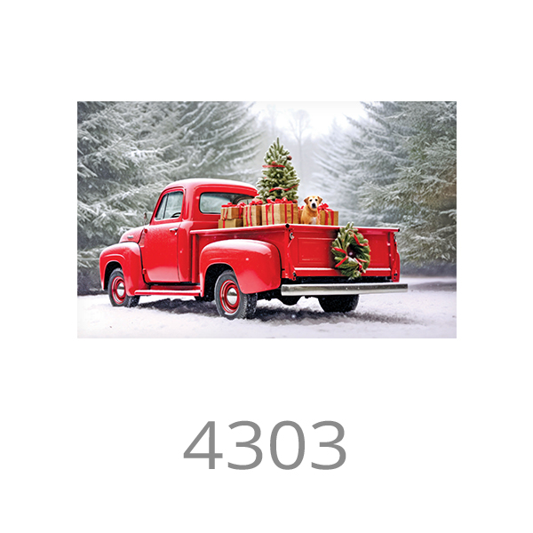 4303
