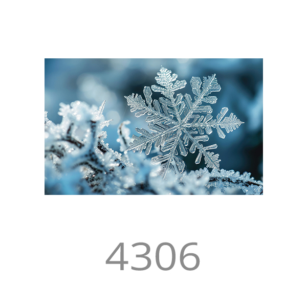 4306