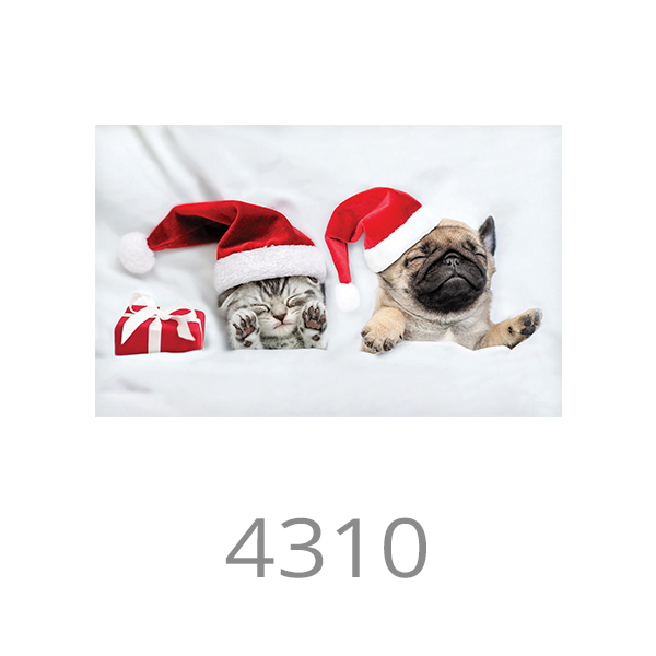 4310