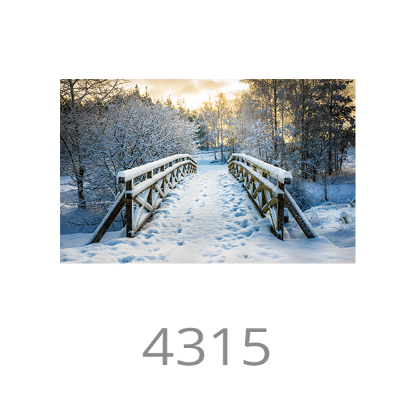4315