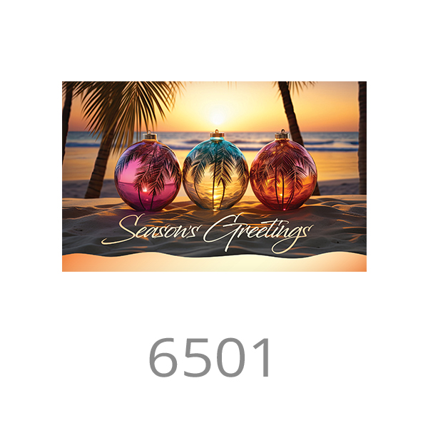 6501