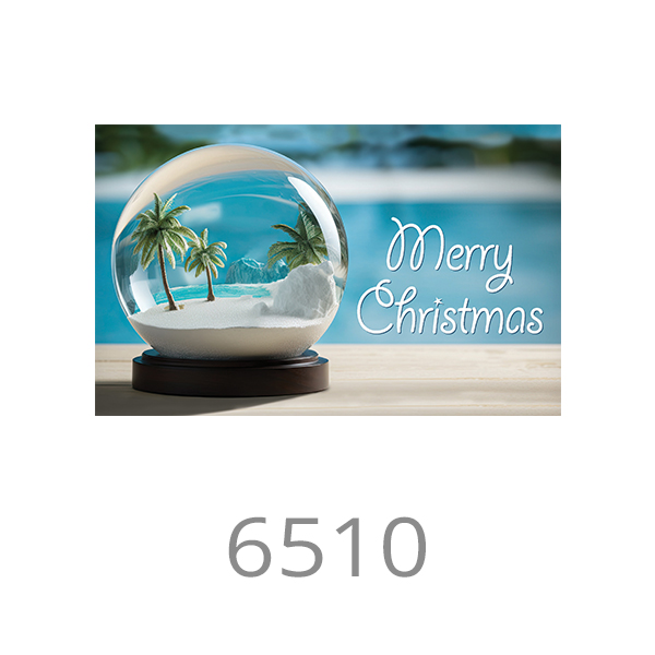6510
