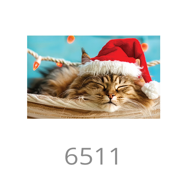 6511