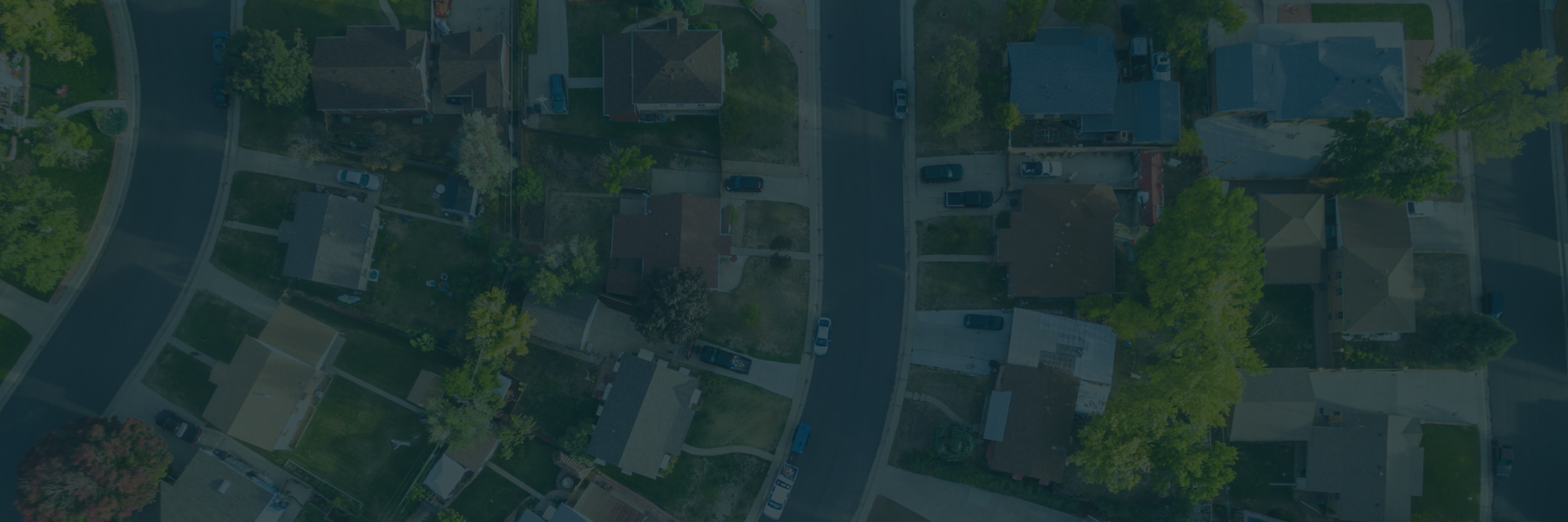banner-image