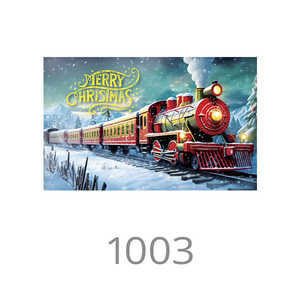 1003