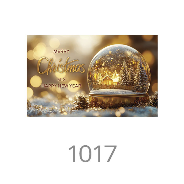 1017
