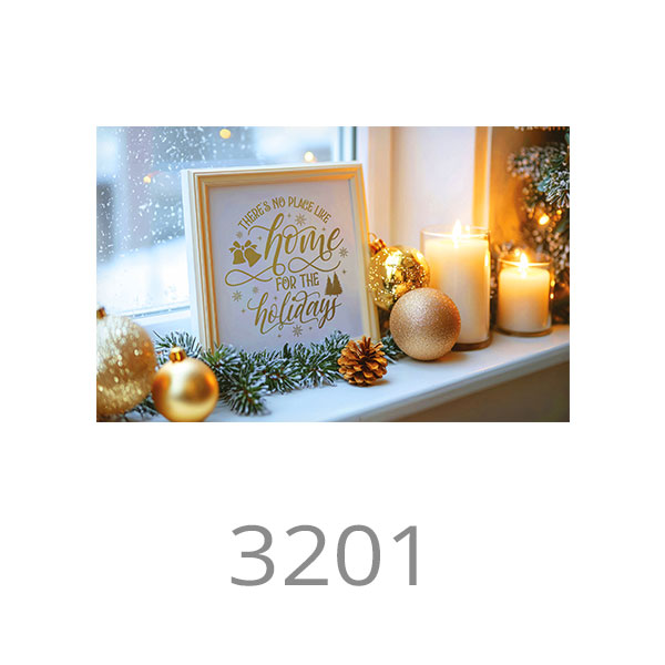 3201