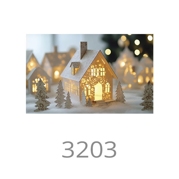 3203