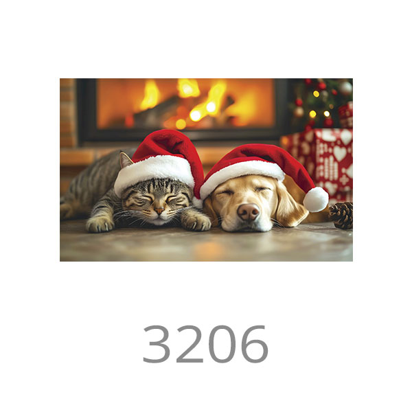 3206