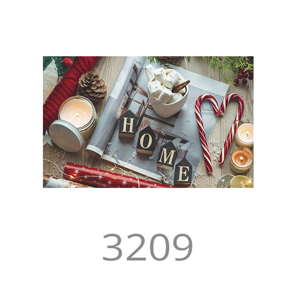3209