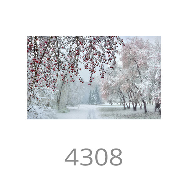 4308