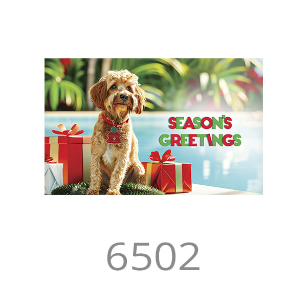 6502