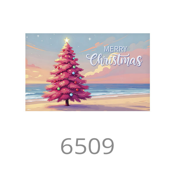 6509