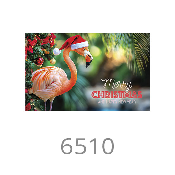 6510